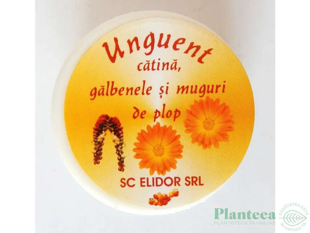 Unguent catina galbenele muguri plop 20g - ELIDOR