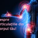 Despre Articulațiile din Corpul tău!