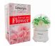 Difuzor ultrasonic aromaterapie Eternal Life Flower verde 100ml - ECOTERAPIA