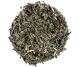 Ceai salvie 50g - BONCHIS
