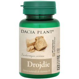 Drojdie bere 500mg 60cp - DACIA PLANT