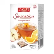 Ceai cu portocala Orange Fusion Sensation piramide 20x2,25g - EVOLET