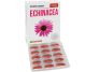 Echinaceea 30cps - PARAPHARM
