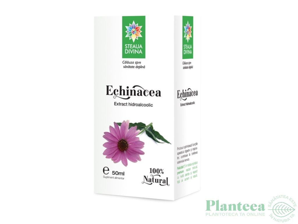 Tinctura echinaceea 50ml - SANTO RAPHAEL