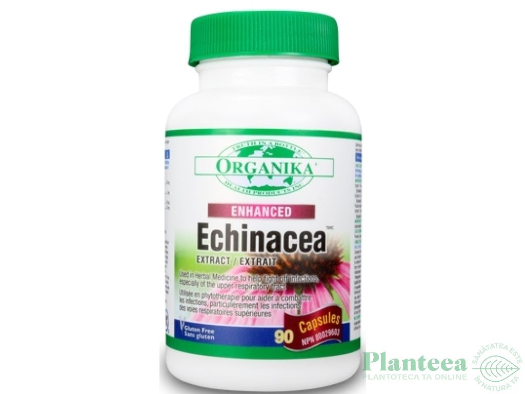 Echinaceea fortificata 600mg 90cps - ORGANIKA HEALTH