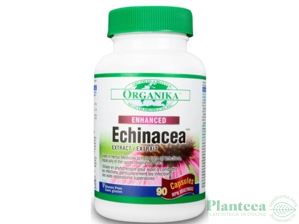 Echinaceea fortificata 600mg 90cps - ORGANIKA HEALTH