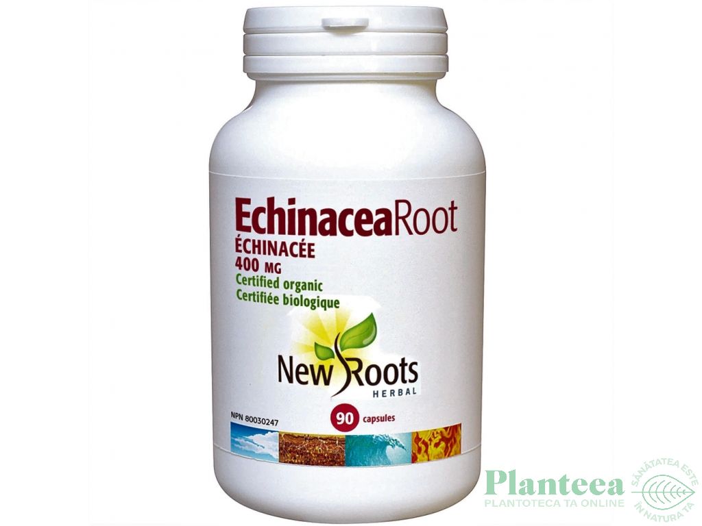 Echinaceea fortificata 400mg 90cps - NEW ROOTS HERBAL