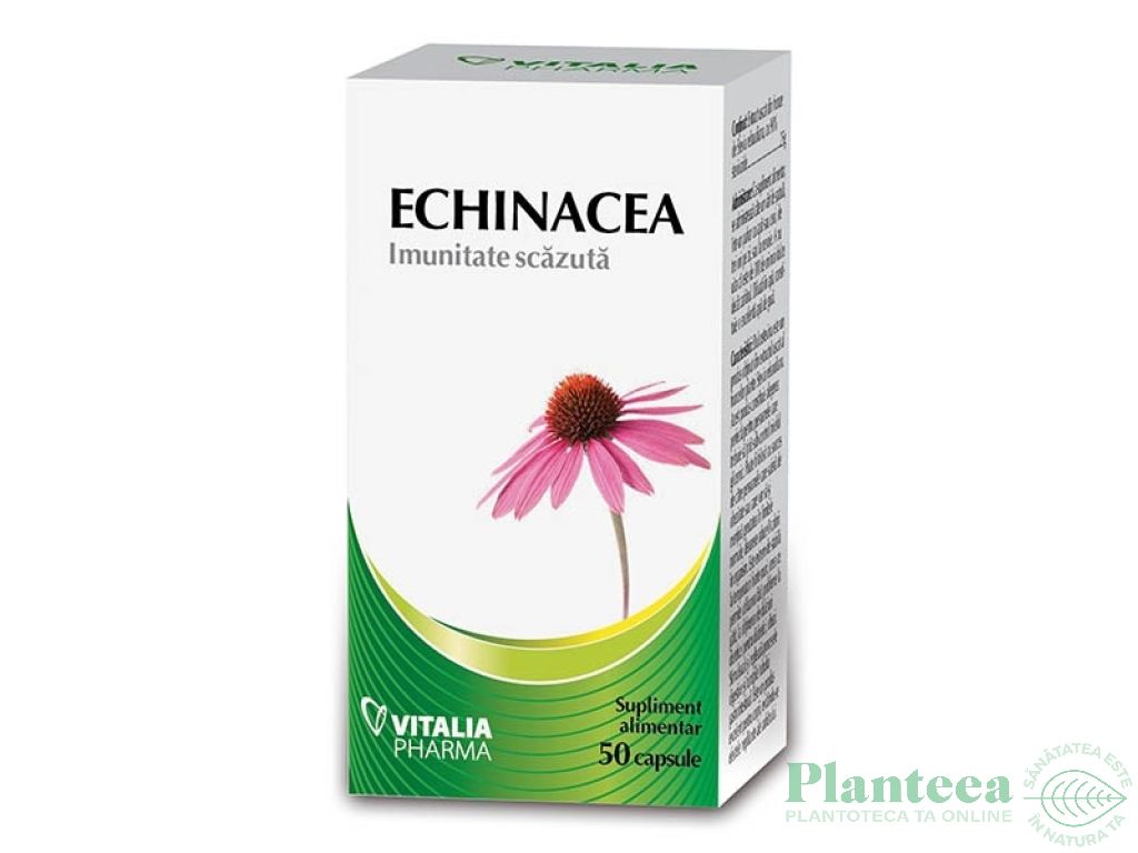 Echinaceea 50cps - VITALIA K