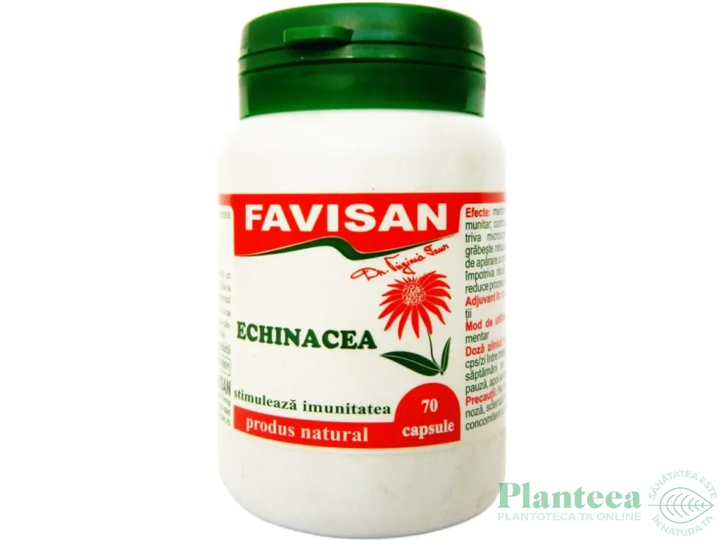 Echinaceea 200mg 70cps - FAVISAN