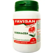 Echinaceea 200mg 70cps - FAVISAN
