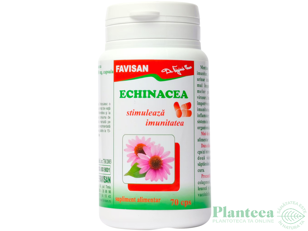 Echinaceea 200mg 70cps - FAVISAN