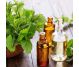 Ulei esential menta 50ml - HERBAL SANA