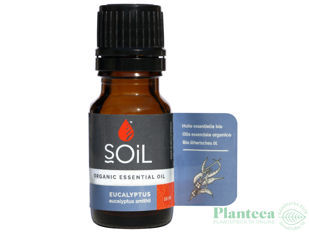 Ulei esential eucalipt organic 10ml - SOiL