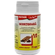 Scortisoara 70cps - FAVISAN