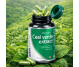 Set Ceai verde extract 3x30cps - DVR PHARM