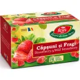 Ceai capsuni fragi Horeca 20dz - FARES