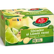 Ceai cu ghimbir lamai verzi Horeca 20dz - FARES