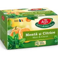 Ceai menta citrice Horeca 20dz - FARES