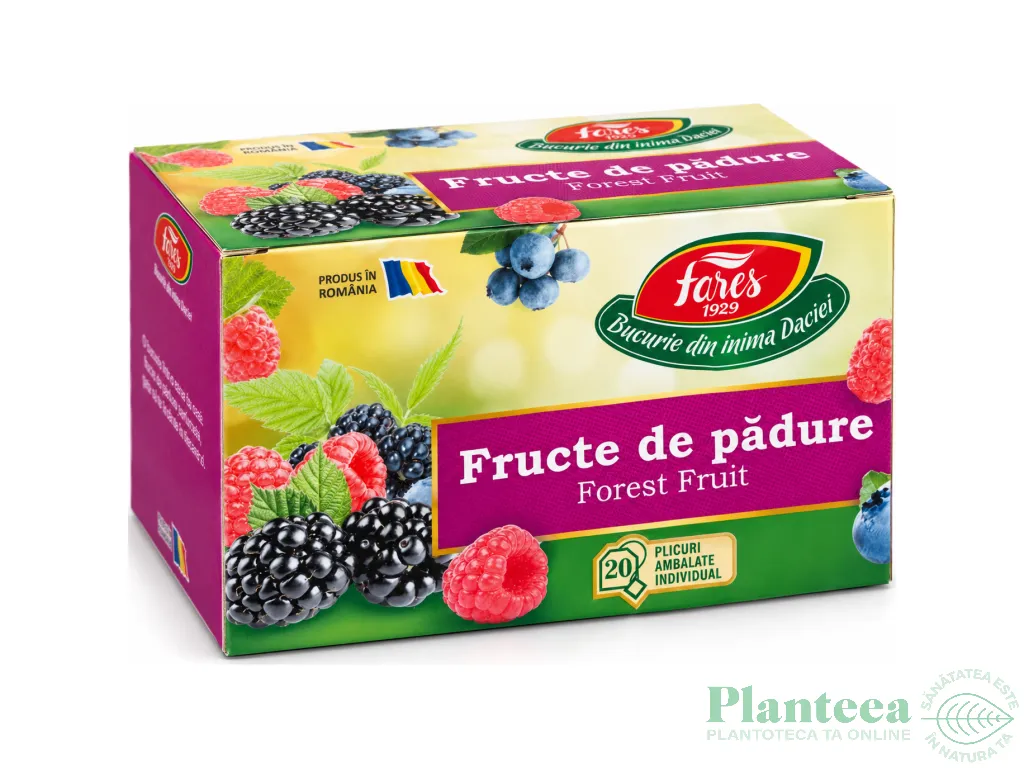 Ceai fructe padure Horeca 20dz - FARES