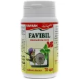 FaviBil 70cps - FAVISAN