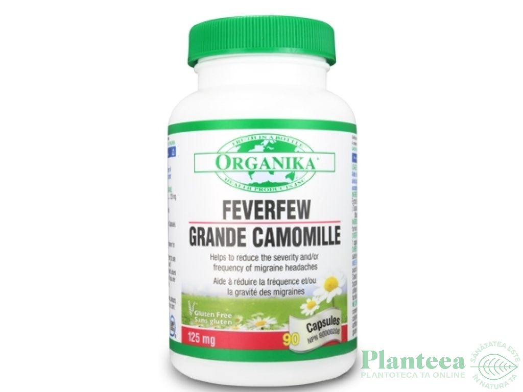 Feverfew 90cps - ORGANIKA HEALTH