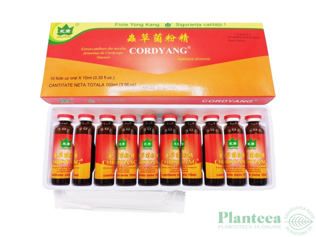 Cordyang extract cordyceps 10fl - YONG KANG