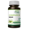 Complex B max 60cps - SEVA PLANT