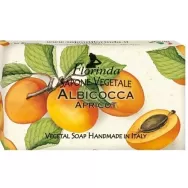 Sapun vegetal Albicocca 100g - FLORINDA