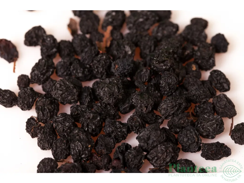 Aronia uscata eco 200g - DRIED FRUITS