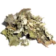Ceai anghinare 50g - STEFMAR