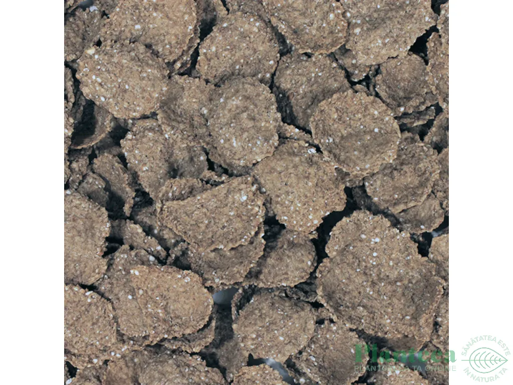 Fulgi tarate grau eco 500g - INFINITY FOODS