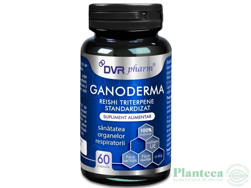 Ganoderma reishi triterpene 60cps - DVR PHARM