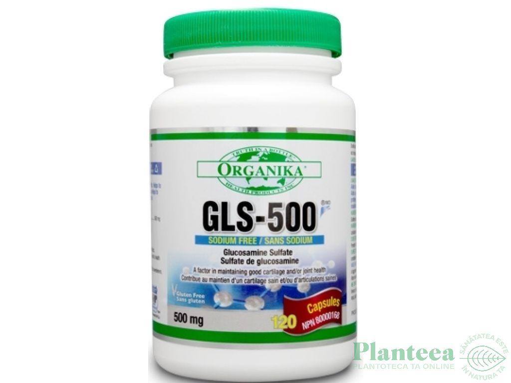 GLS 500 120cps - ORGANIKA HEALTH