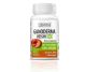 Ganoderma reishi bio 300mg 60cps - ZENYTH
