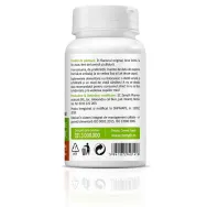 Ganoderma reishi bio 300mg 60cps - ZENYTH