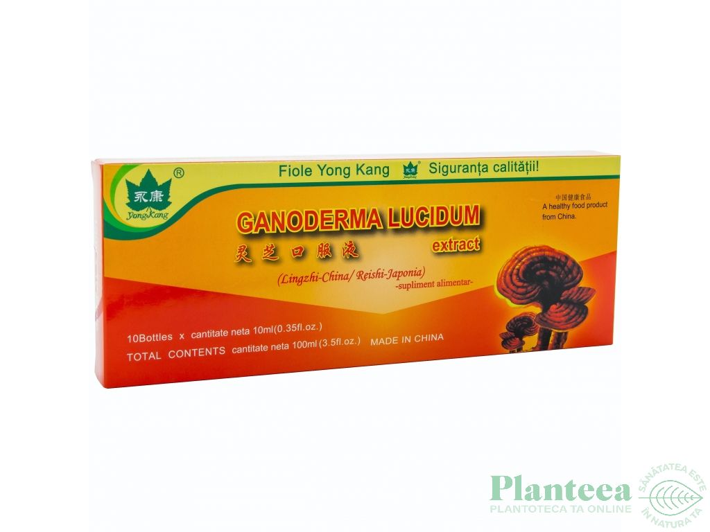 Ganoderma lucidum 10fl - YONG KANG