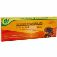 Ganoderma lucidum 10fl - YONG KANG