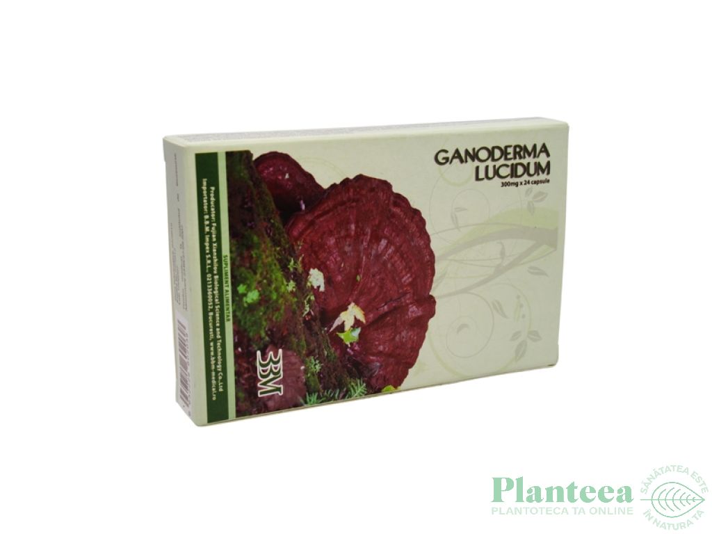 Ganoderma lucidum 24cps - XIANZHILOU BIOLOGICAL