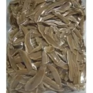 Ganoderma lucidum vrac 500g - AQUA NANO