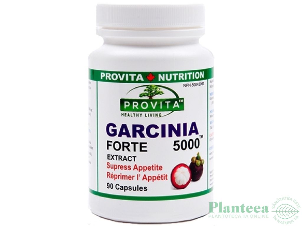Garcinia 5000 forte 90cps - PROVITA NUTRITION