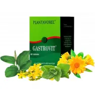 GastroVit 40cp - PLANTAVOREL