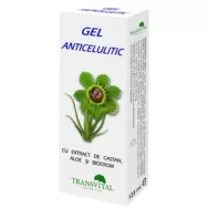 Gel anticelulita castan aloe 125ml - TRANSVITAL