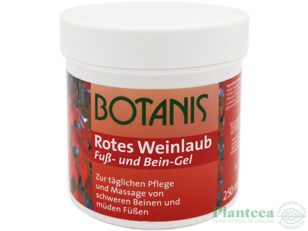 Gel vita vie 250ml - BOTANIS