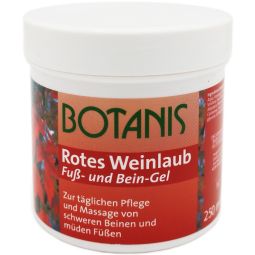 Gel vita vie 250ml - BOTANIS