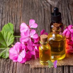 Ulei esential geranium 10ml - HERBAL SANA