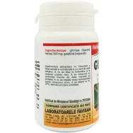Ghimpe 300mg 40cps - FAVISAN