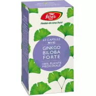 Ginkgo biloba forte 63cps - FARES