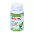 Ginkgo biloba 240mg 60cp - ADAMS SUPPLEMENTS