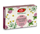 Crema solida Ginosept Trofic 10monodoze 18,5g - FARES