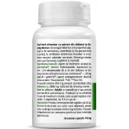 Ginseng siberian 30cps - ZENYTH